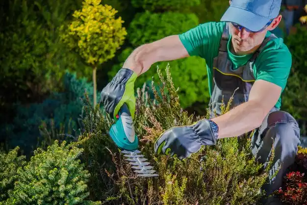 landscaping services Granville